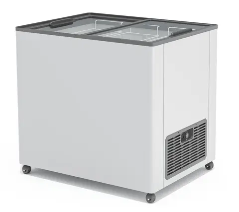 Ларь Frostor F 250 C
