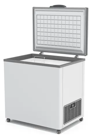 Морозильный ларь Frostor F 250 S