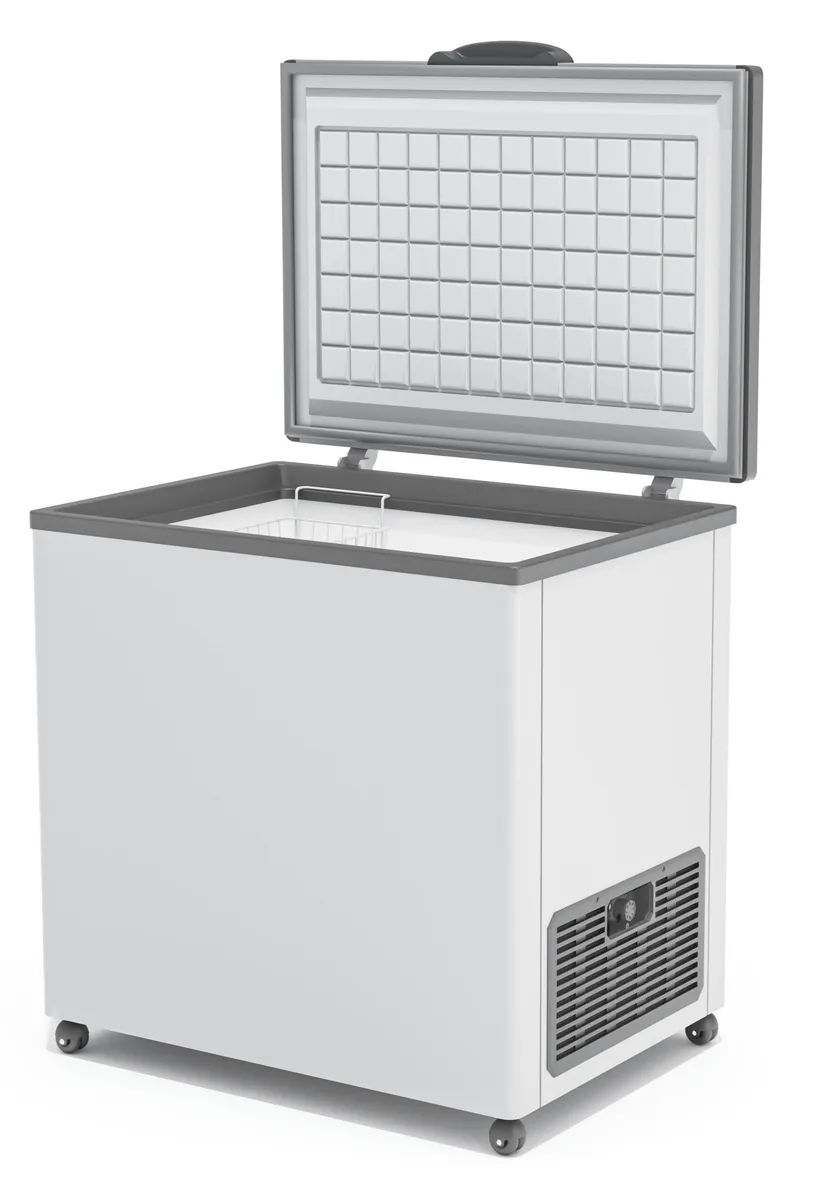 Морозильный ларь Frostor F 250 S